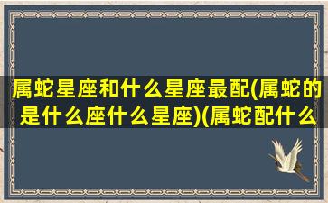 属蛇星座和什么星座最配(属蛇的是什么座什么星座)(属蛇配什么星座最好)