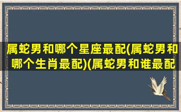 属蛇男和哪个星座最配(属蛇男和哪个生肖最配)(属蛇男和谁最配)