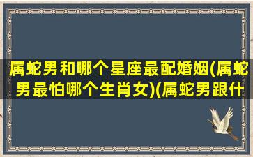 属蛇男和哪个星座最配婚姻(属蛇男最怕哪个生肖女)(属蛇男跟什么属相合)