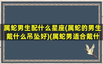 属蛇男生配什么星座(属蛇的男生戴什么吊坠好)(属蛇男适合戴什么材质的东西)