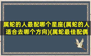 属蛇的人最配哪个星座(属蛇的人适合去哪个方向)(属蛇最佳配偶是哪个属相)