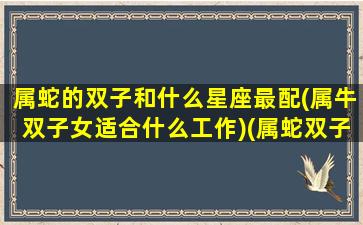 属蛇的双子和什么星座最配(属牛双子女适合什么工作)(属蛇双子男的最佳配对)