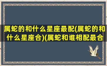 属蛇的和什么星座最配(属蛇的和什么星座合)(属蛇和谁相配最合适呢)