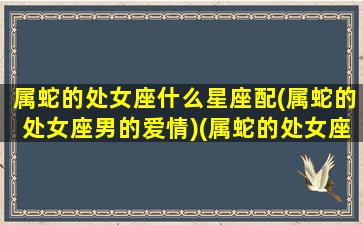 属蛇的处女座什么星座配(属蛇的处女座男的爱情)(属蛇的处女座男生性格特点)