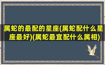 属蛇的最配的星座(属蛇配什么星座最好)(属蛇最宜配什么属相)