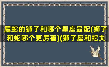 属蛇的狮子和哪个星座最配(狮子和蛇哪个更厉害)(狮子座和蛇夫座)