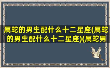 属蛇的男生配什么十二星座(属蛇的男生配什么十二星座)(属蛇男最佳配属)