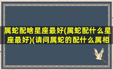 属蛇配啥星座最好(属蛇配什么星座最好)(请问属蛇的配什么属相最好)