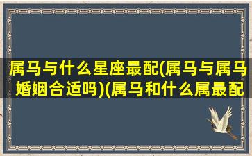 属马与什么星座最配(属马与属马婚姻合适吗)(属马和什么属最配)