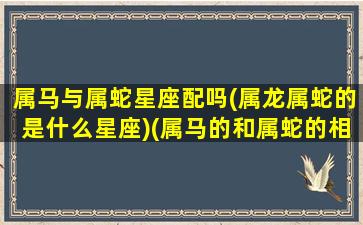 属马与属蛇星座配吗(属龙属蛇的是什么星座)(属马的和属蛇的相配吗百度一下)