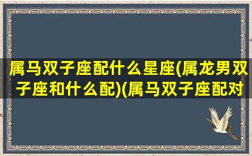 属马双子座配什么星座(属龙男双子座和什么配)(属马双子座配对)