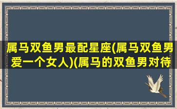 属马双鱼男最配星座(属马双鱼男爱一个女人)(属马的双鱼男对待感情)