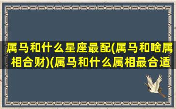 属马和什么星座最配(属马和啥属相合财)(属马和什么属相最合适呢)