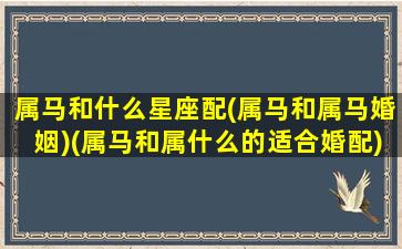 属马和什么星座配(属马和属马婚姻)(属马和属什么的适合婚配)