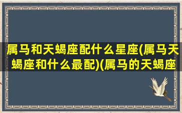 属马和天蝎座配什么星座(属马天蝎座和什么最配)(属马的天蝎座和什么最配)