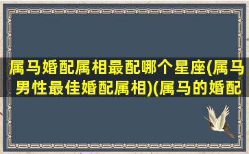 属马婚配属相最配哪个星座(属马男性最佳婚配属相)(属马的婚配对象)