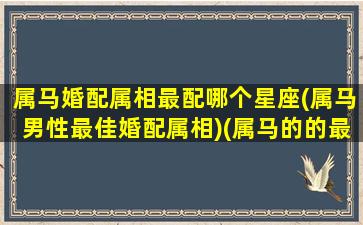 属马婚配属相最配哪个星座(属马男性最佳婚配属相)(属马的的最佳婚配)