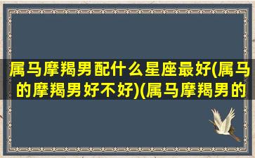 属马摩羯男配什么星座最好(属马的摩羯男好不好)(属马摩羯男的爱情观)