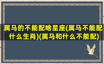 属马的不能配啥星座(属马不能配什么生肖)(属马和什么不能配)