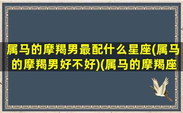 属马的摩羯男最配什么星座(属马的摩羯男好不好)(属马的摩羯座男是什么样的人)