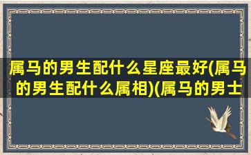 属马的男生配什么星座最好(属马的男生配什么属相)(属马的男士配什么属相)