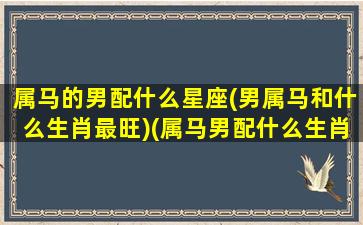 属马的男配什么星座(男属马和什么生肖最旺)(属马男配什么生肖好)