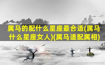 属马的配什么星座最合适(属马什么星座女人)(属马适配属相)