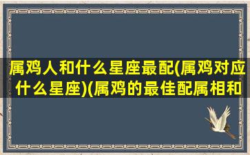 属鸡人和什么星座最配(属鸡对应什么星座)(属鸡的最佳配属相和星座是什么)