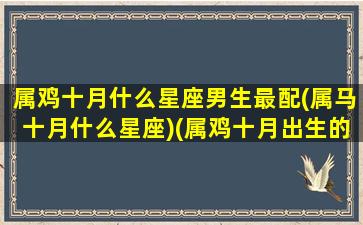 属鸡十月什么星座男生最配(属马十月什么星座)(属鸡十月出生的男人命运如何)