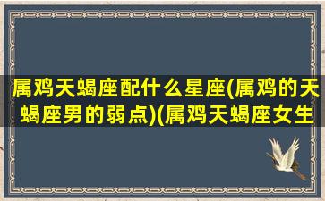 属鸡天蝎座配什么星座(属鸡的天蝎座男的弱点)(属鸡天蝎座女生的性格特征)