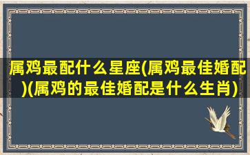 属鸡最配什么星座(属鸡最佳婚配)(属鸡的最佳婚配是什么生肖)