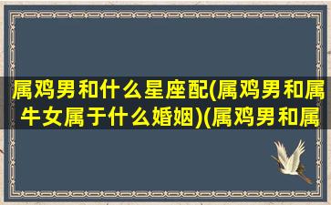 属鸡男和什么星座配(属鸡男和属牛女属于什么婚姻)(属鸡男和属什么的最合适呢)