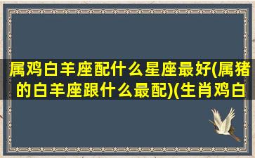 属鸡白羊座配什么星座最好(属猪的白羊座跟什么最配)(生肖鸡白羊)