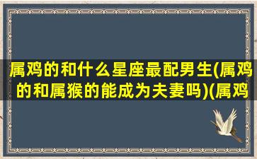 属鸡的和什么星座最配男生(属鸡的和属猴的能成为夫妻吗)(属鸡的人和谁最配)