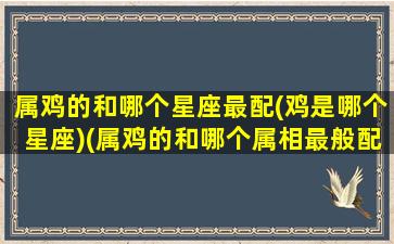 属鸡的和哪个星座最配(鸡是哪个星座)(属鸡的和哪个属相最般配)