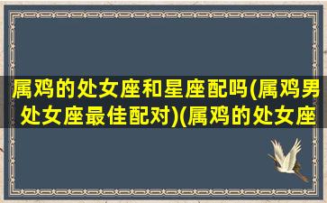 属鸡的处女座和星座配吗(属鸡男处女座最佳配对)(属鸡的处女座男生的性格特点)