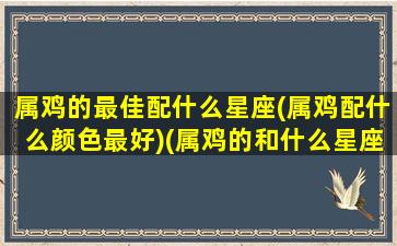 属鸡的最佳配什么星座(属鸡配什么颜色最好)(属鸡的和什么星座最配)