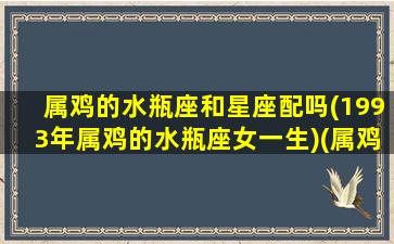 属鸡的水瓶座和星座配吗(1993年属鸡的水瓶座女一生)(属鸡水瓶座最佳婚配)