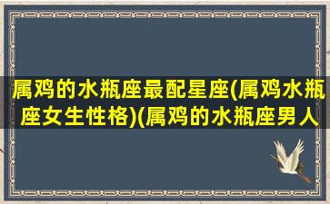 属鸡的水瓶座最配星座(属鸡水瓶座女生性格)(属鸡的水瓶座男人性格)