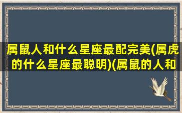 属鼠人和什么星座最配完美(属虎的什么星座最聪明)(属鼠的人和什么最般配)