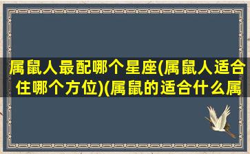 属鼠人最配哪个星座(属鼠人适合住哪个方位)(属鼠的适合什么属相的配偶)