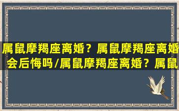 属鼠摩羯座离婚？属鼠摩羯座离婚会后悔吗/属鼠摩羯座离婚？属鼠摩羯座离婚会后悔吗-我的网站