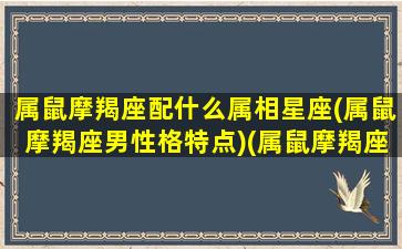 属鼠摩羯座配什么属相星座(属鼠摩羯座男性格特点)(属鼠摩羯座男生的性格特点)