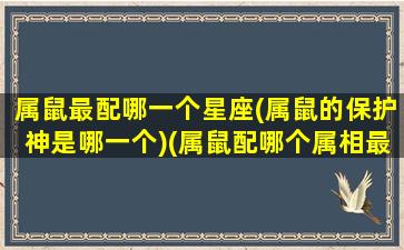 属鼠最配哪一个星座(属鼠的保护神是哪一个)(属鼠配哪个属相最好)