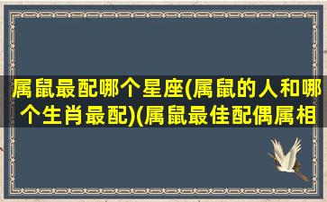 属鼠最配哪个星座(属鼠的人和哪个生肖最配)(属鼠最佳配偶属相是什么)