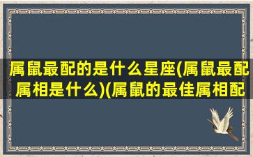 属鼠最配的是什么星座(属鼠最配属相是什么)(属鼠的最佳属相配偶)