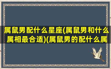 属鼠男配什么星座(属鼠男和什么属相最合适)(属鼠男的配什么属相最好)