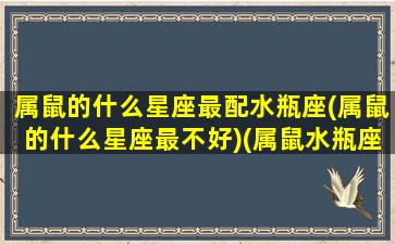 属鼠的什么星座最配水瓶座(属鼠的什么星座最不好)(属鼠水瓶座配对)