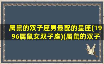 属鼠的双子座男最配的星座(1996属鼠女双子座)(属鼠的双子座男生)