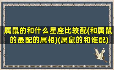 属鼠的和什么星座比较配(和属鼠的最配的属相)(属鼠的和谁配)